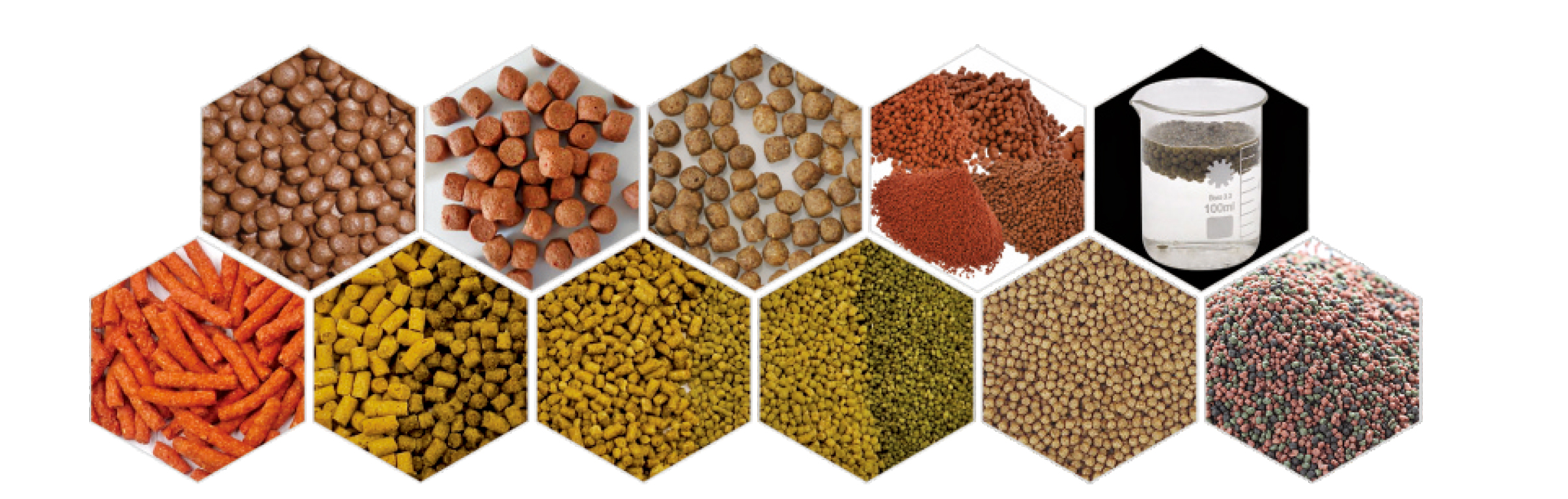 alimentación acuática