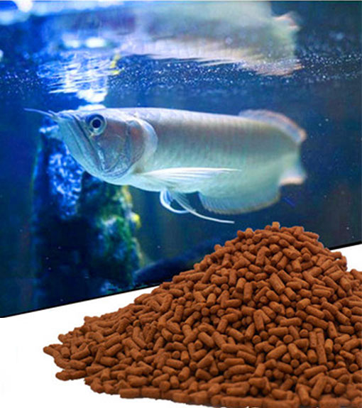 Alimento para peces