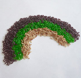 máquina para hacer arroz bajo en grasa